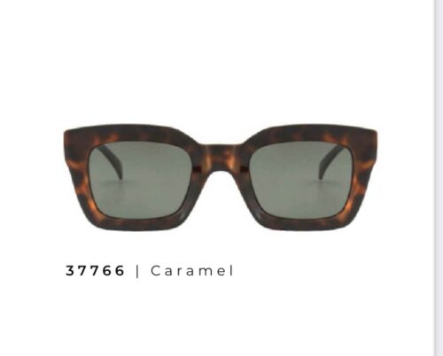Gafa Montsaint Ref.37766