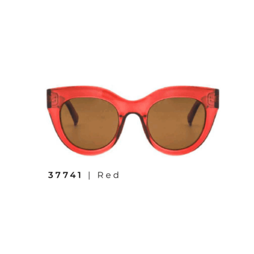 Gafa Montsaint Ref.37741