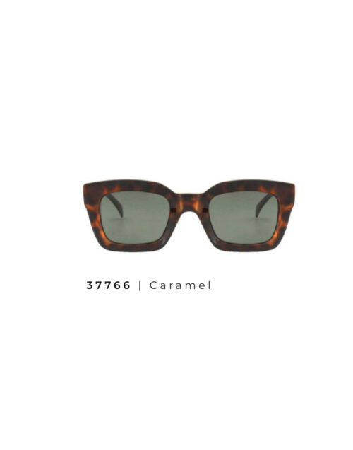 Gafa Montsaint Ref. 37766 - Imagen 2